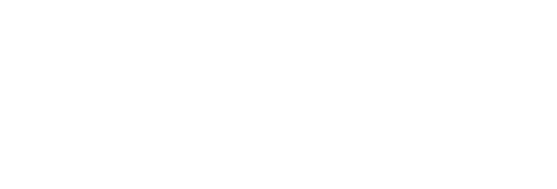 Fusion Arena